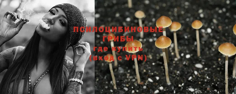 Галлюциногенные грибы Psilocybe  KRAKEN как зайти  Лангепас 